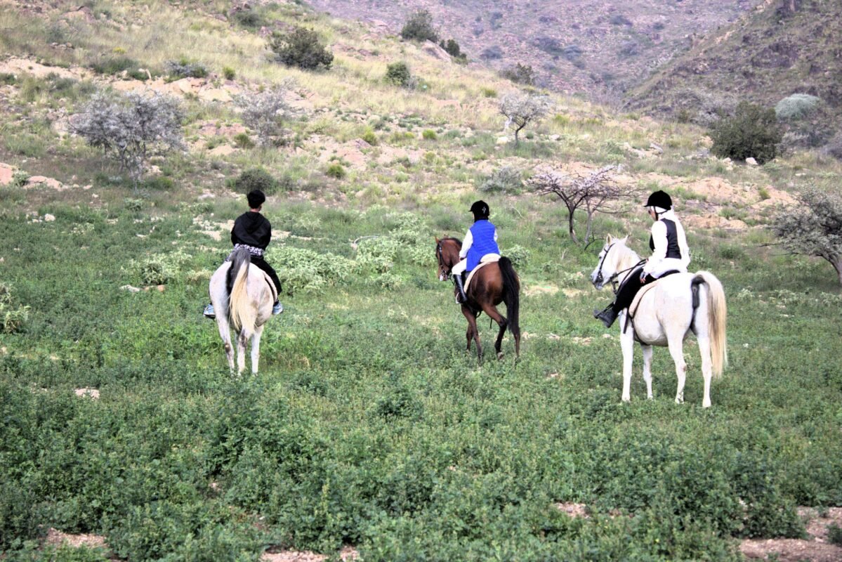 رحلة الخيل في وادي براش