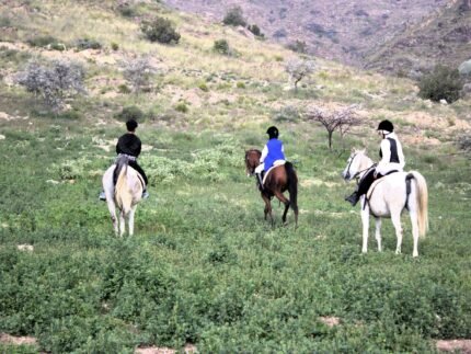 رحلة الخيل في وادي براش